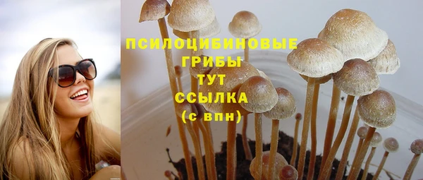ГАЛЛЮЦИНОГЕННЫЕ ГРИБЫ Дмитров