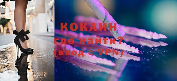 твердый Дмитровск