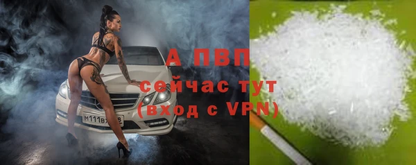 ГАЛЛЮЦИНОГЕННЫЕ ГРИБЫ Дмитров