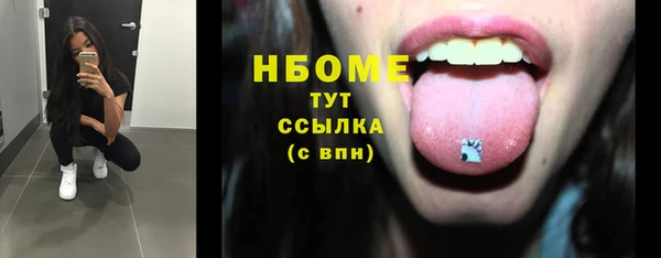 твердый Дмитровск