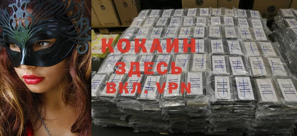твердый Дмитровск