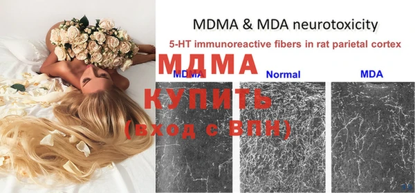 ГАЛЛЮЦИНОГЕННЫЕ ГРИБЫ Дмитров