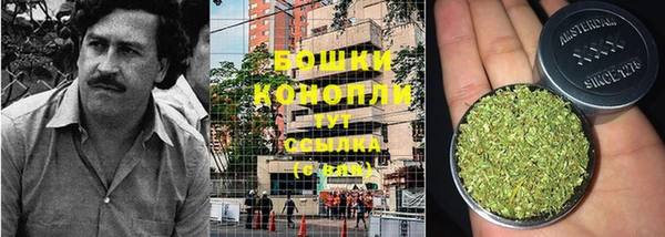 соль курить ск Дмитриев