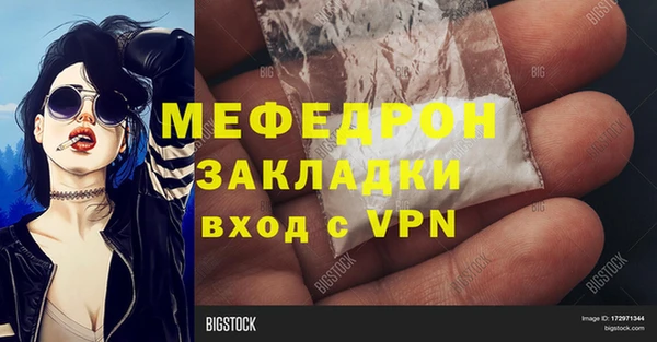 твердый Дмитровск
