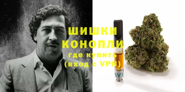 ГАЛЛЮЦИНОГЕННЫЕ ГРИБЫ Дмитров