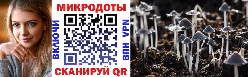 Псилоцибиновые грибы прущие грибы  Купить закладки  Томмот 