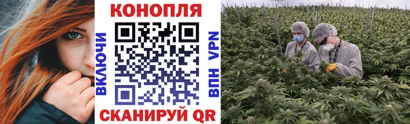 Купить  Томмот  Канабис LSD WEED 